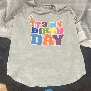 Buttons It’s My Birthday Grey Multi Color Design Dog Tshirt
